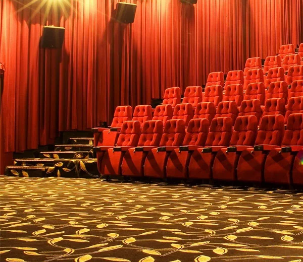 Cinema carpet (5)